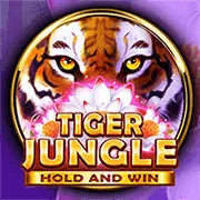 Lợi ích khi chọn 92lottery để cá cược thể thao