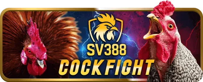 Tải APP 92lottery